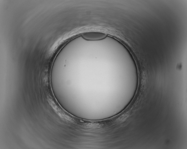 X0000116341499200912151316