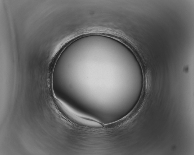 X0000116341501200912151316