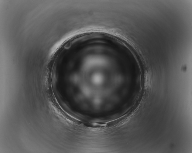 X0000116341502200912151316