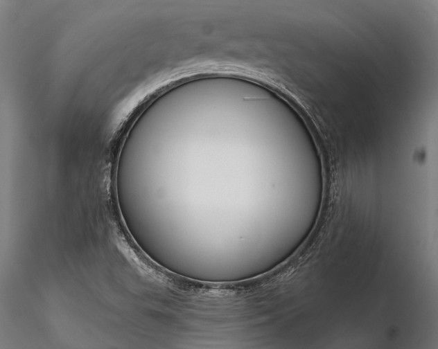 X0000116341503200912151316