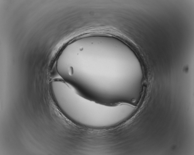 X0000116341506200912151316