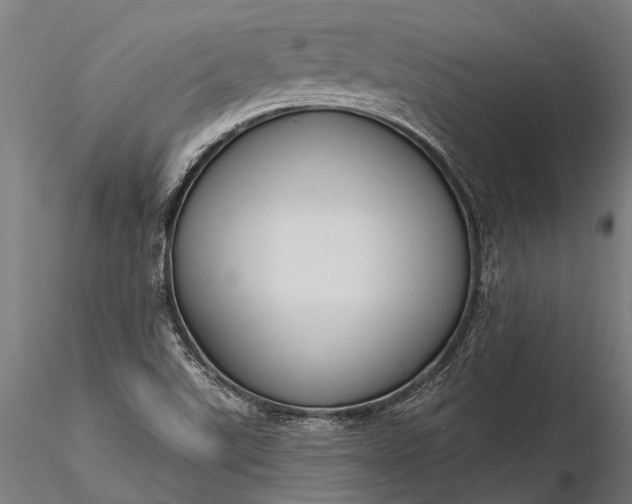 X0000116341507200912151316