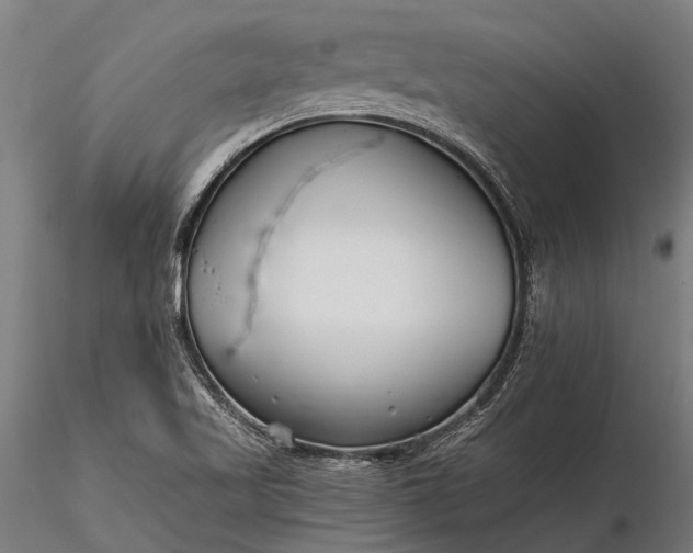 X0000116341509200912151316