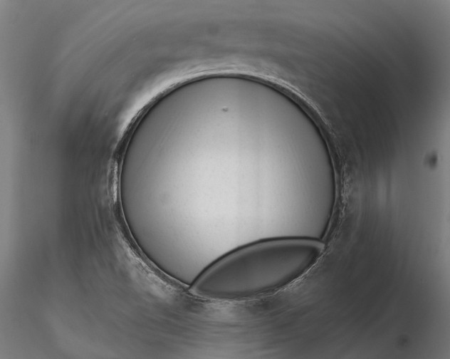 X0000116341510200912151316