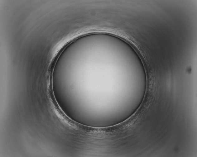 X0000116341511200912151316