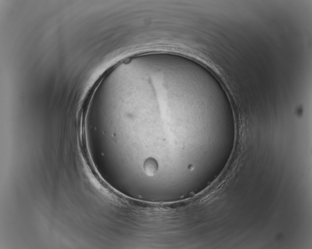 X0000116341515200912151316