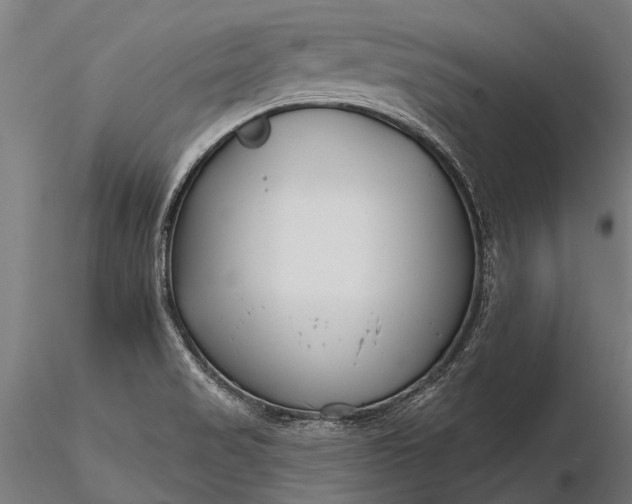 X0000116341517200912151316