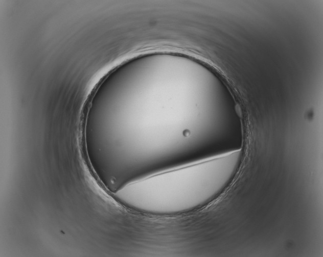 X0000116341518200912151316