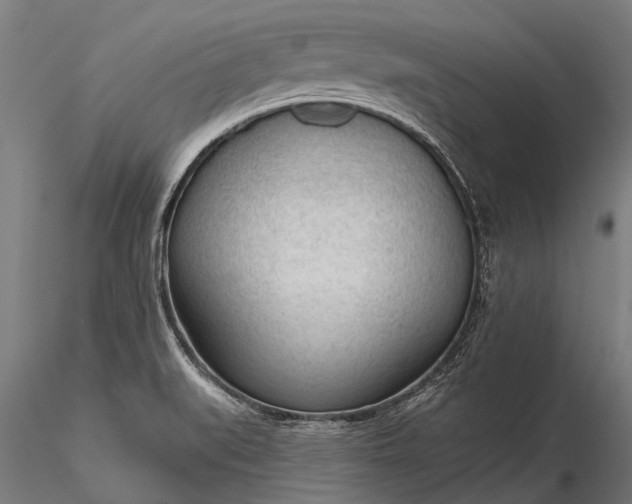 X0000116341519200912151316