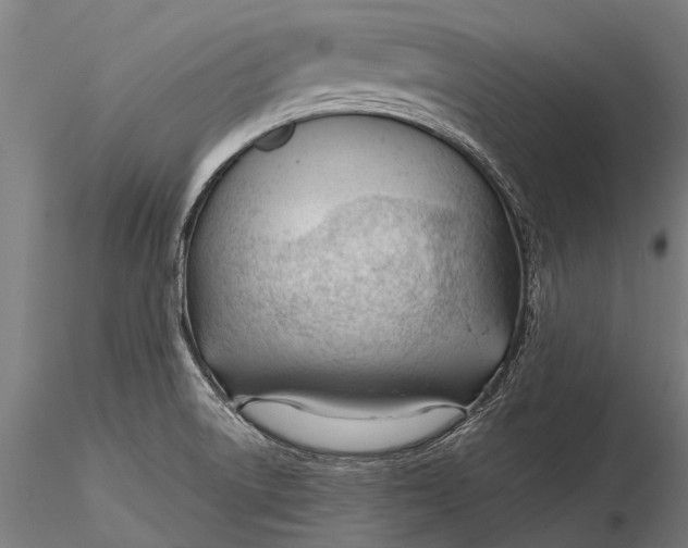 X0000116341522200912151316