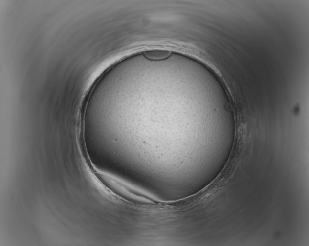 X0000116341523200912151316