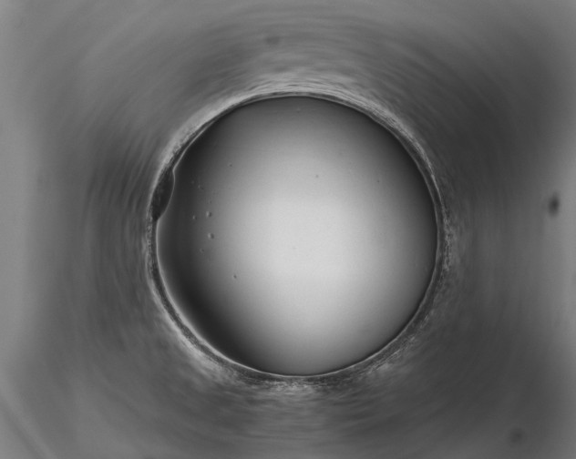 X0000116341525200912151316