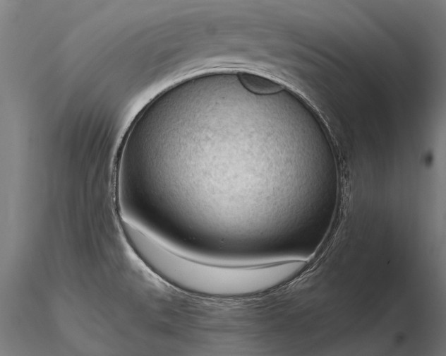 X0000116341527200912151316