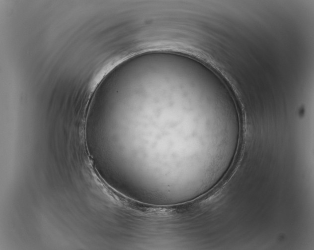 X0000116341529200912151316