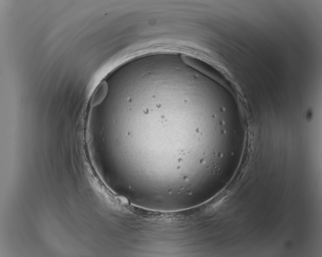 X0000116341530200912151316