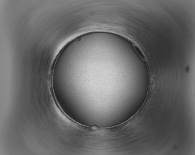 X0000116341531200912151316