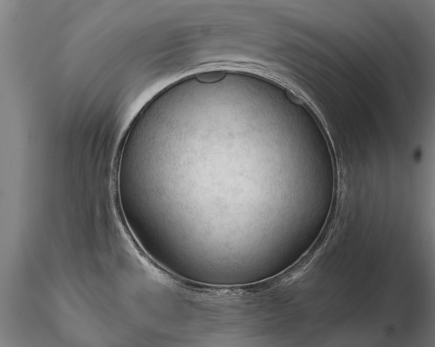 X0000116341533200912151316