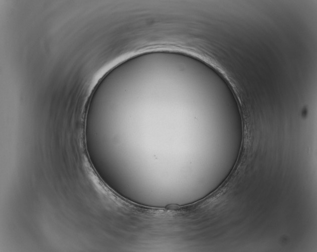 X0000116341534200912151316