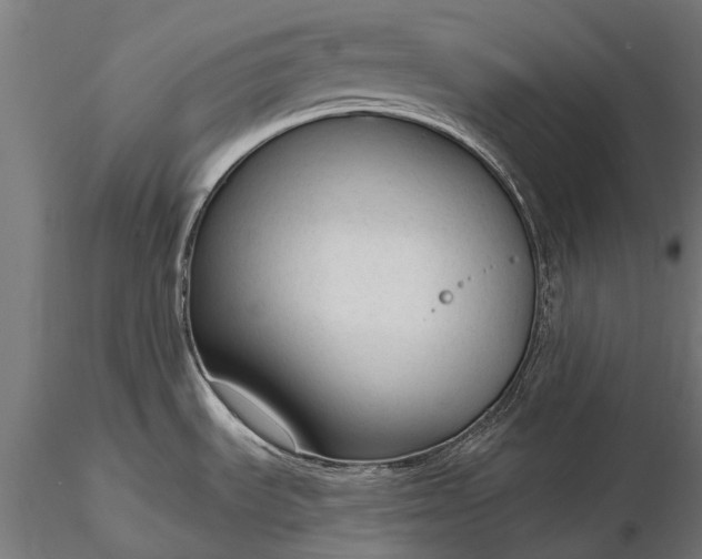 X0000116341535200912151316