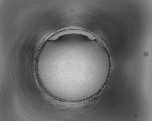 X0000116340001200912221451