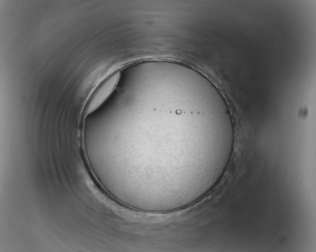 X0000116340002200912221451