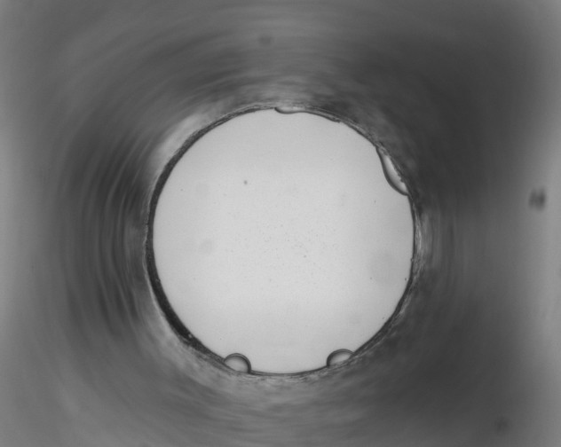 X0000116340003200912221451