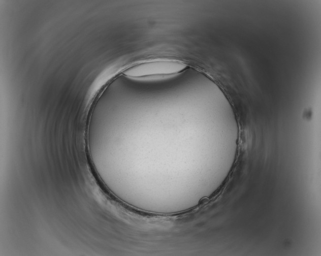 X0000116340004200912221451