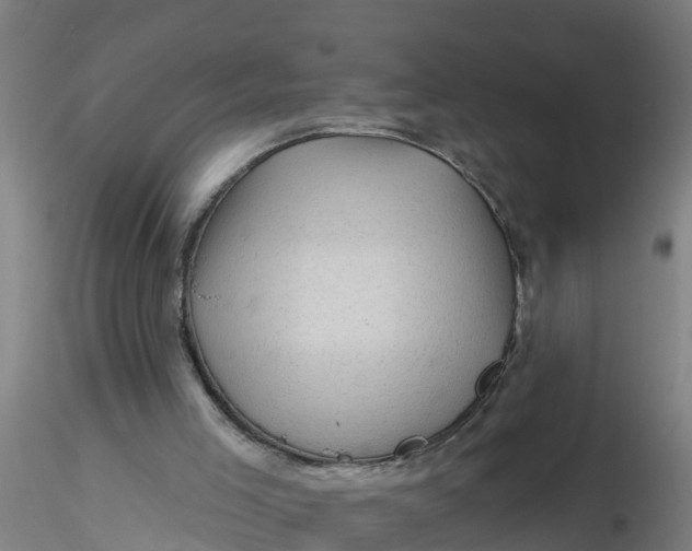 X0000116340005200912221450