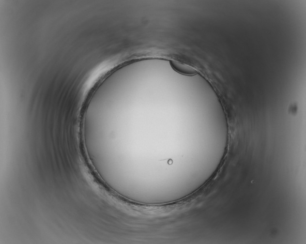 X0000116340006200912221450