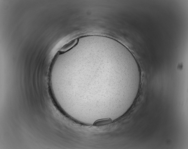 X0000116340007200912221450