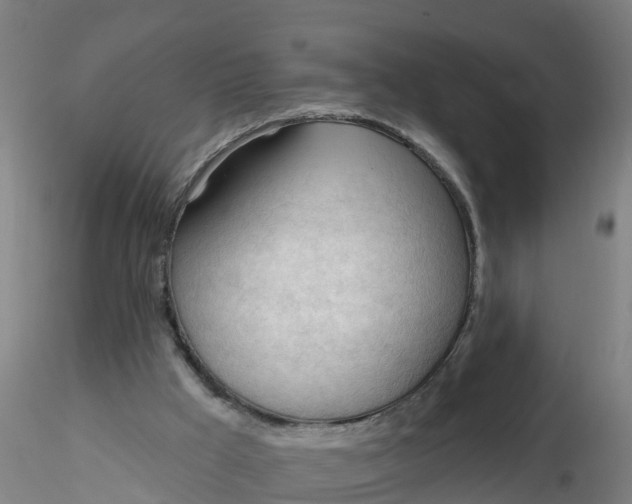 X0000116340009200912221450