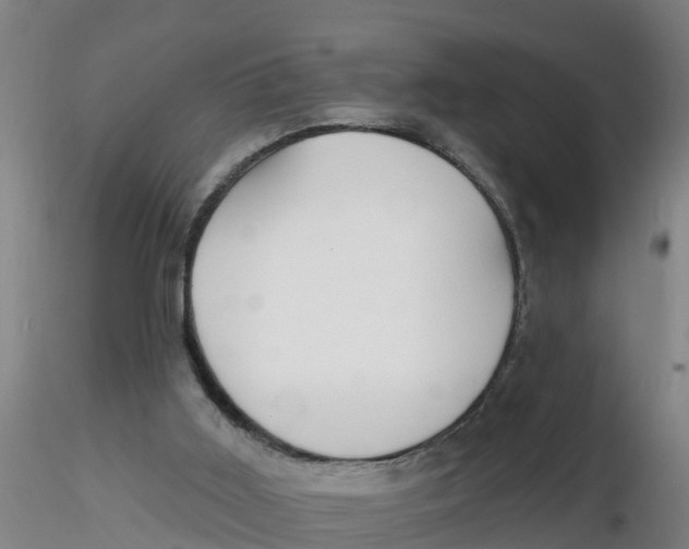 X0000116340011200912221450