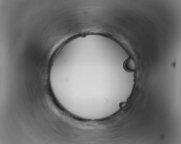 X0000116340012200912221450