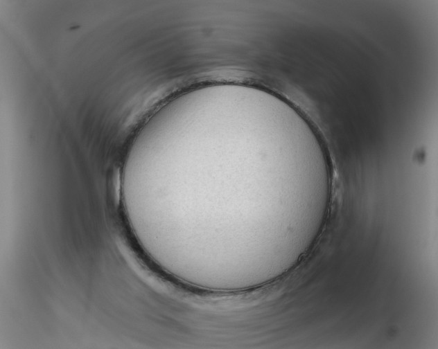 X0000116340013200912221450