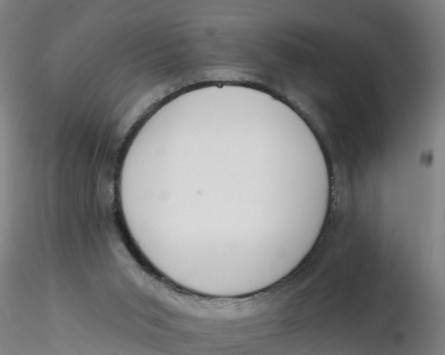 X0000116340015200912221450