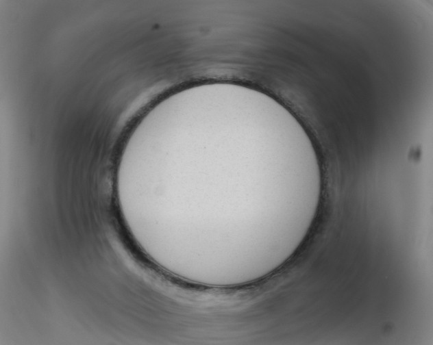 X0000116340016200912221450