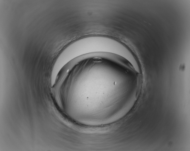 X0000116340017200912221450