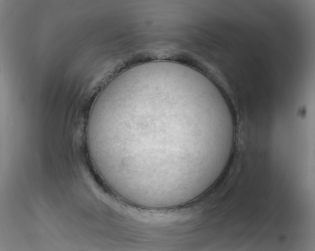 X0000116340018200912221450