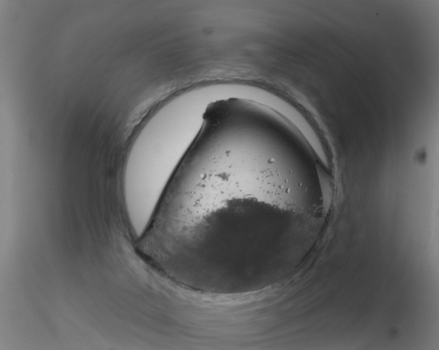 X0000116340019200912221450