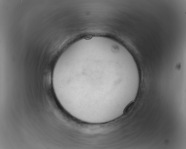 X0000116340021200912221450