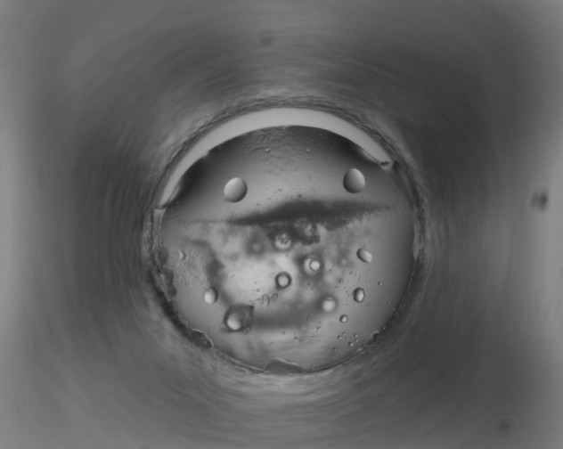 X0000116340023200912221450