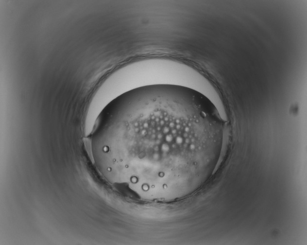 X0000116340024200912221450