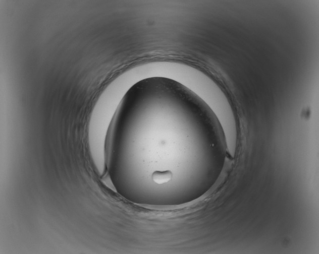 X0000116340025200912221450