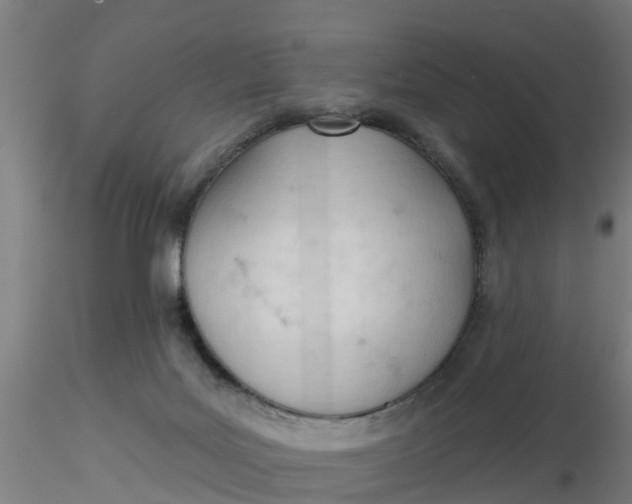 X0000116340027200912221450