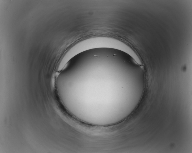 X0000116340028200912221450