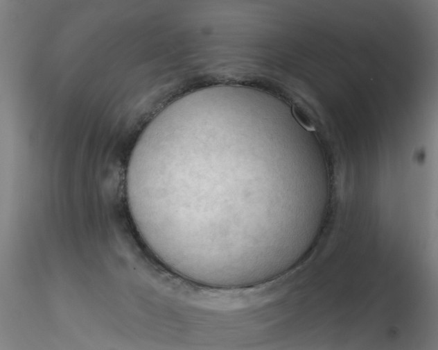 X0000116340029200912221450