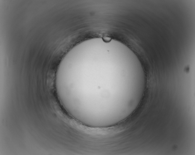 X0000116340030200912221450