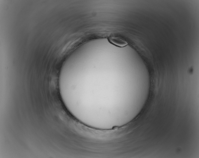 X0000116340035200912221450