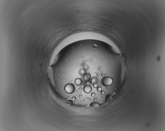 X0000116340036200912221450