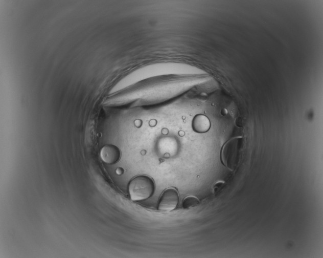 X0000116340038200912221450